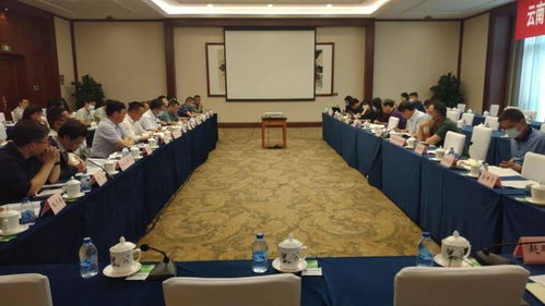 桃源水庫(kù)工程可行性研究報(bào)告技術(shù)咨詢(xún)會(huì)在京圓滿召開(kāi)